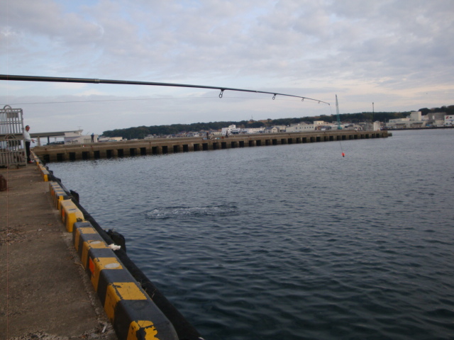 e0158841_10542945.jpg