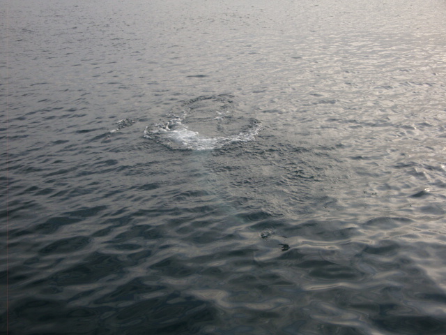 e0158841_10545076.jpg