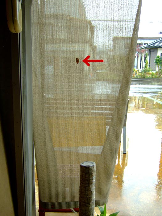 e0006242_16315676.jpg