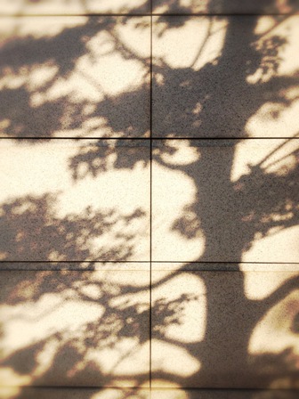e0086642_2143850.jpg