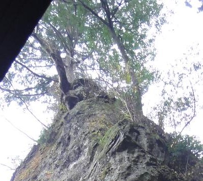 e0164643_1120964.jpg