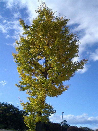 e0248844_2203199.jpg