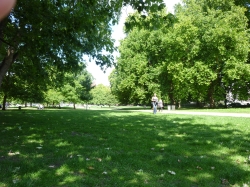 f0019444_16222762.jpg