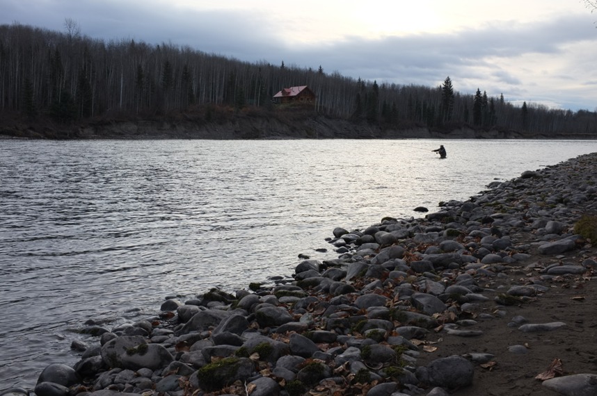 f0084544_117434.jpg