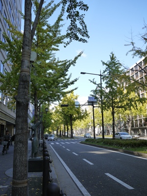 e0100046_21482660.jpg