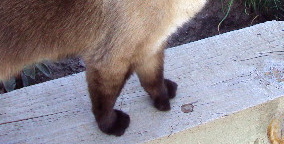 a0204348_5332894.jpg