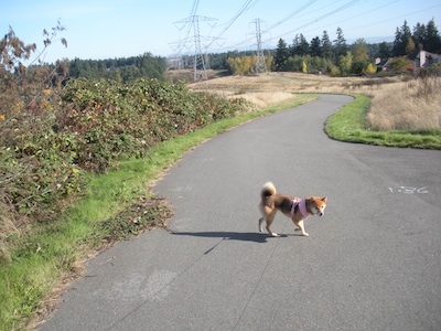 f0200756_214582.jpg