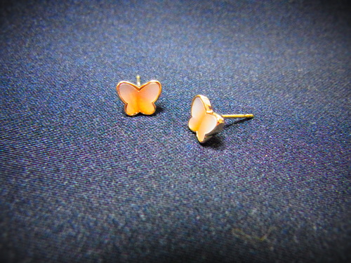 b0238760_1213092.jpg