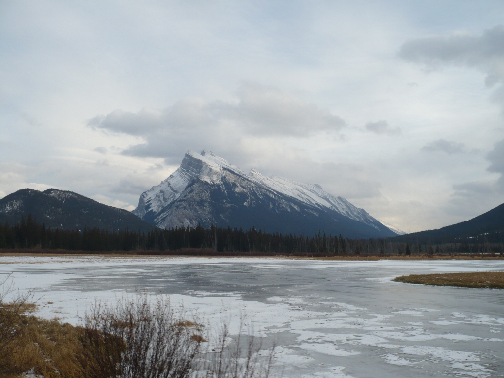 f0214562_16474753.jpg