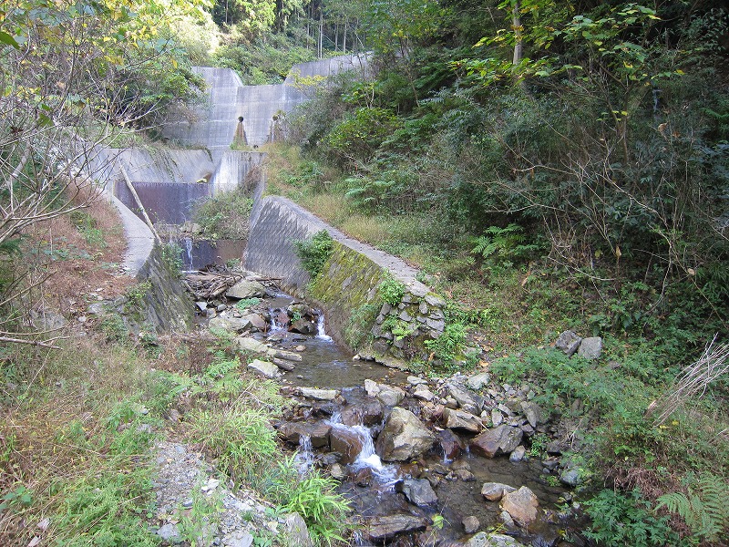 a0016171_23265589.jpg