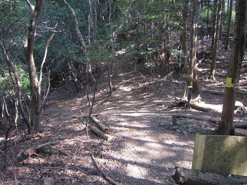 a0016171_2327256.jpg