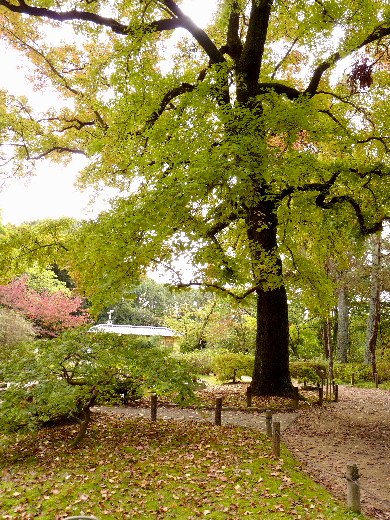 d0084473_2053880.jpg
