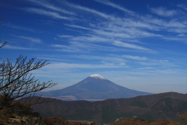 d0126577_22936.jpg