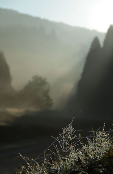 e0249878_12393365.jpg