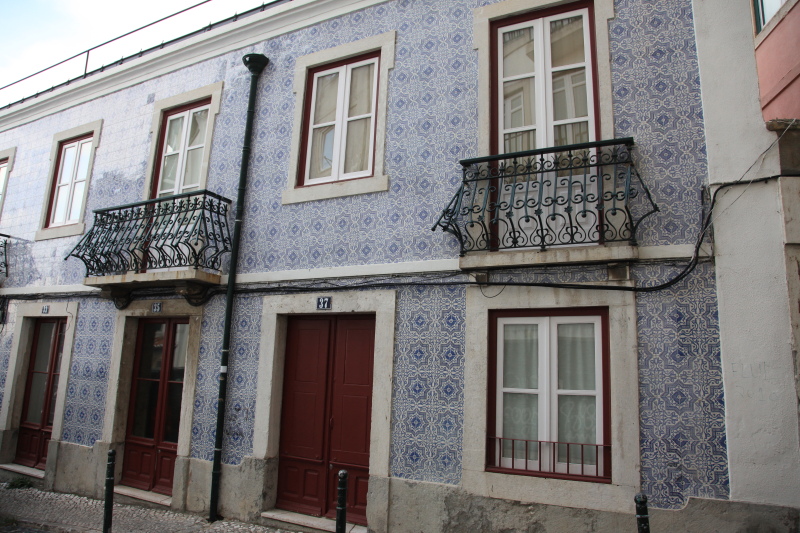 c0187779_805440.jpg