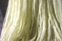 c0057781_1654545.jpg