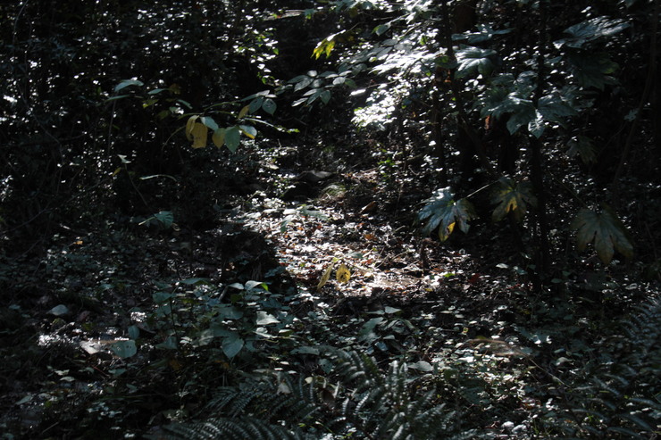 e0024081_21533679.jpg