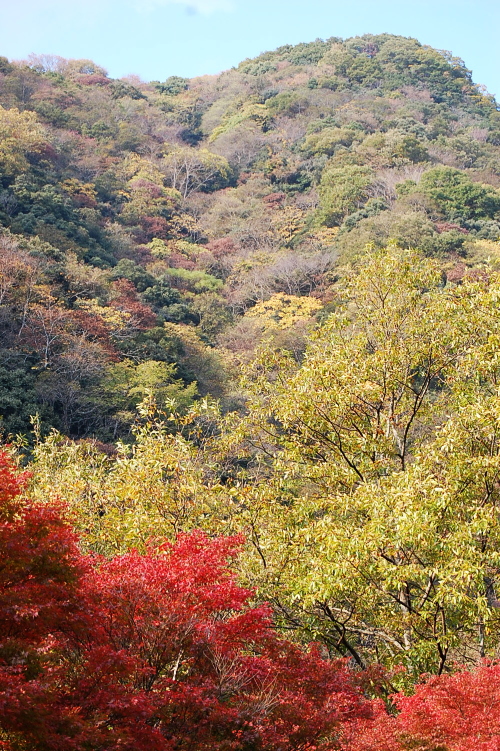 d0179983_17583480.jpg