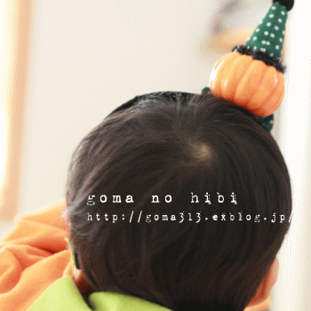 b0180085_22385650.gif