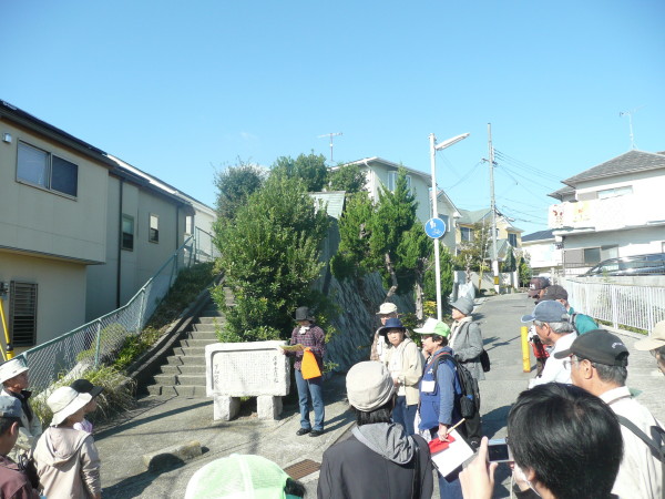b0118987_1672416.jpg