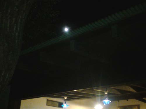 e0078187_002631.jpg