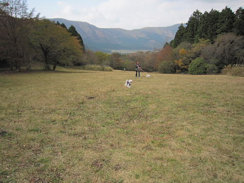 b0104592_21343387.jpg