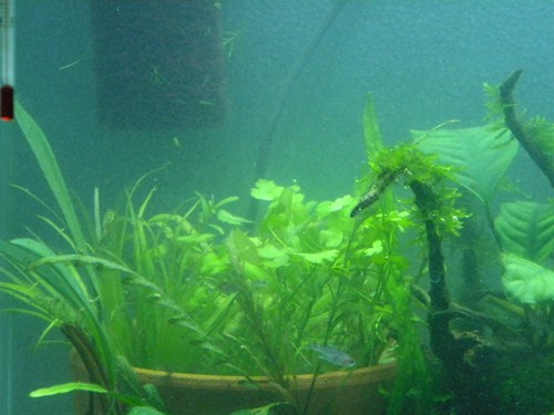 f0138093_231299.jpg