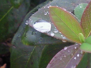 c0208099_1458407.jpg