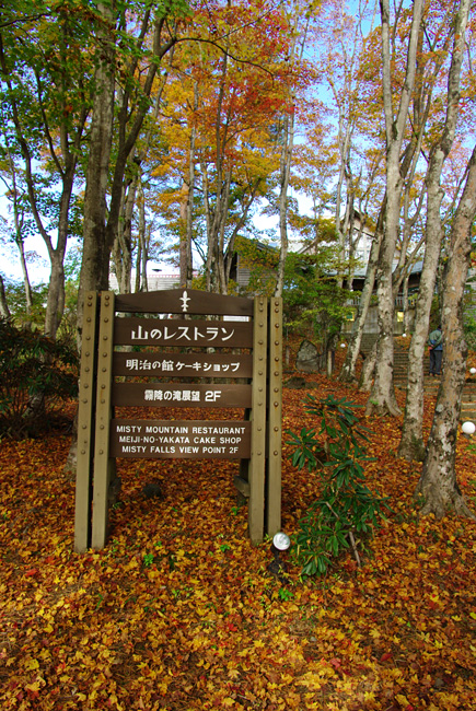 a0184303_21452917.jpg