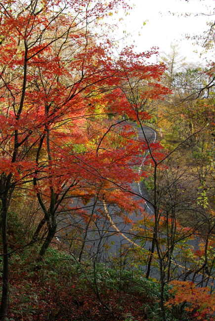 a0184303_22163238.jpg