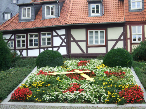 e0149604_39955.jpg