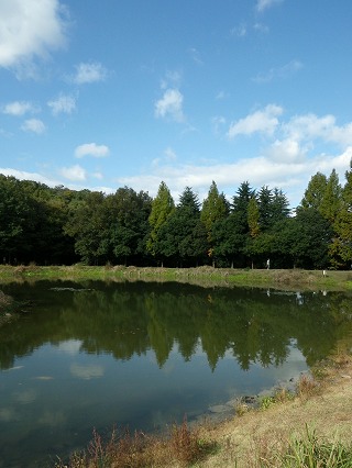 c0190010_20445429.jpg