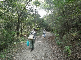 c0190010_2045812.jpg