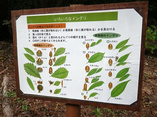 c0190010_2112114.jpg