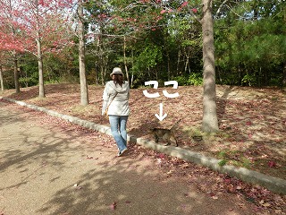 c0190010_21281129.jpg