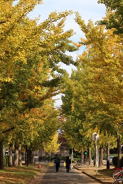 b0197418_15364177.jpg