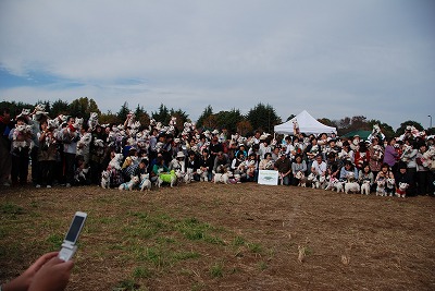 e0121418_23333813.jpg