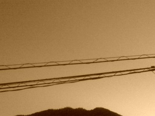 c0097620_17573071.jpg