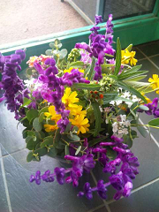 c0086221_18455279.jpg
