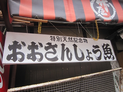 a0105023_17353936.jpg