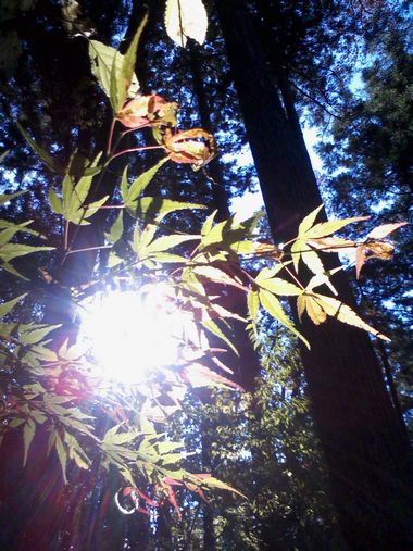 c0152123_20462642.jpg