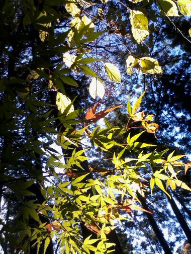 c0152123_2046715.jpg
