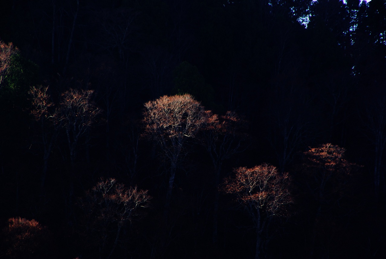 b0062024_2292750.jpg