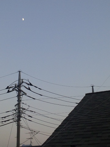 b0199924_1613727.jpg