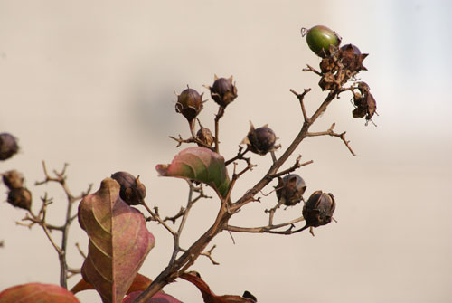 c0184125_2204956.jpg