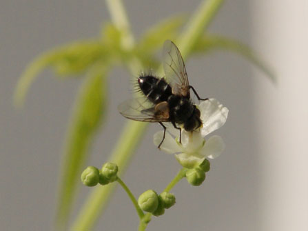 c0184125_221465.jpg