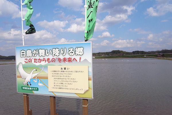 f0007926_1533523.jpg