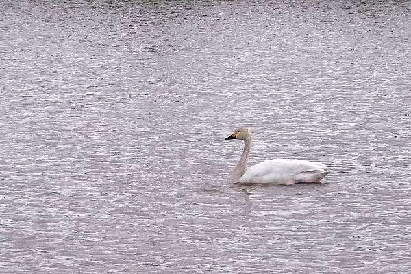f0007926_15342815.jpg