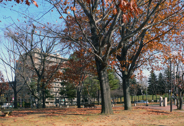 a0046429_23374462.jpg