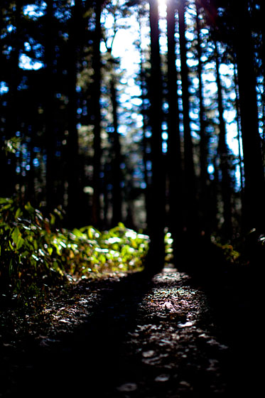 e0025030_10453730.jpg